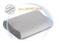 Anatomic